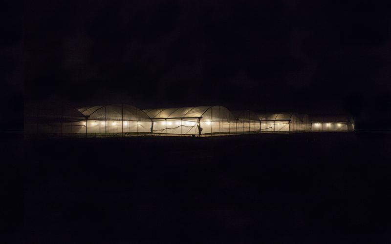 © Alessia Rollo - Image from the Fata Morgana photography project