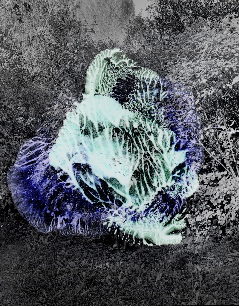 © Alessia Rollo - Painting on a negative of a wood in Puglia used for pagan rituals