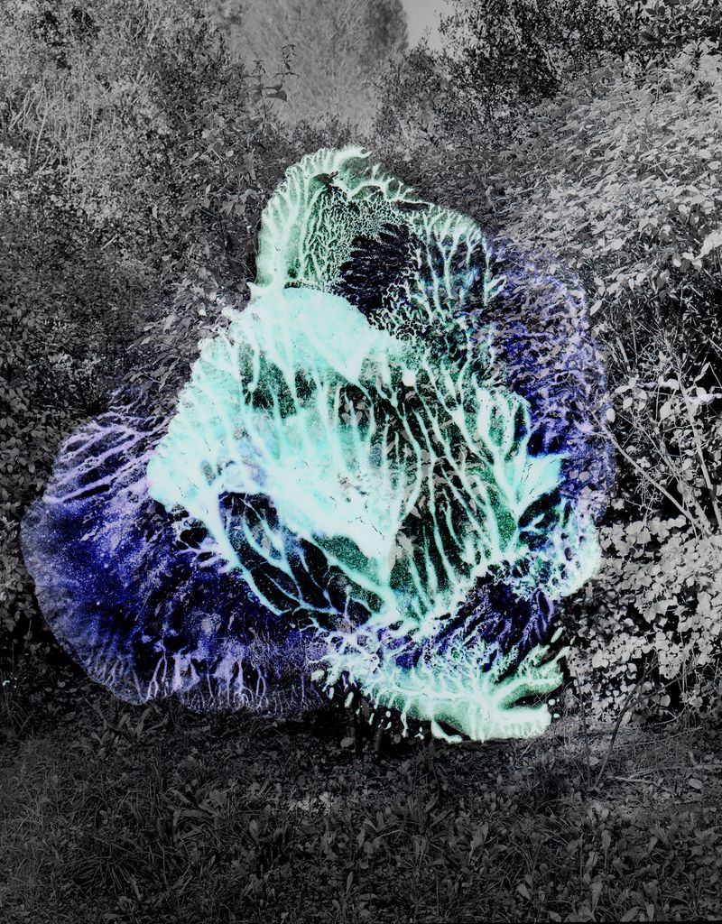 © Alessia Rollo - Painting on a negative of a wood in Puglia used for pagan rituals