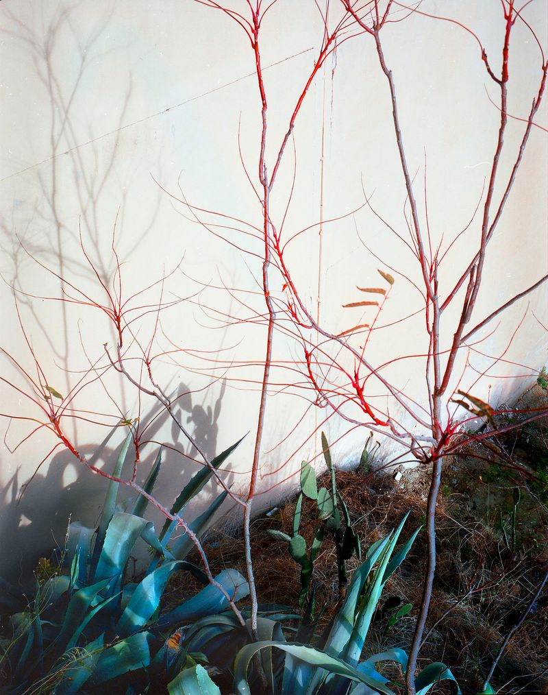 © Alessia Rollo - Image from the Parallel eyes photography project