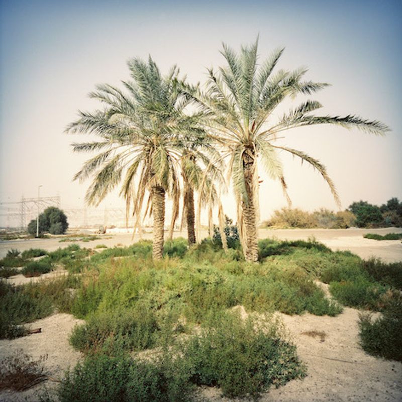 © Hind Mezaina - Image from the Wonder Land photography project