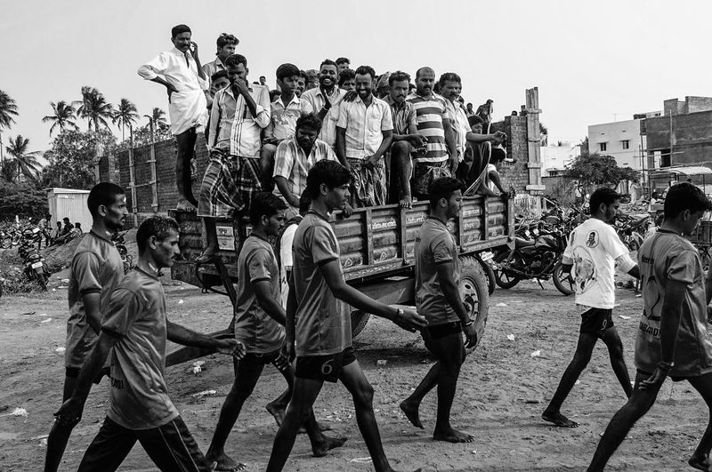 © Naveen P M - Image from the Jallikattu photography project