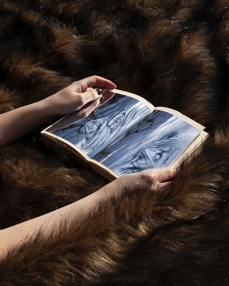 © Hannah Altman - Daf