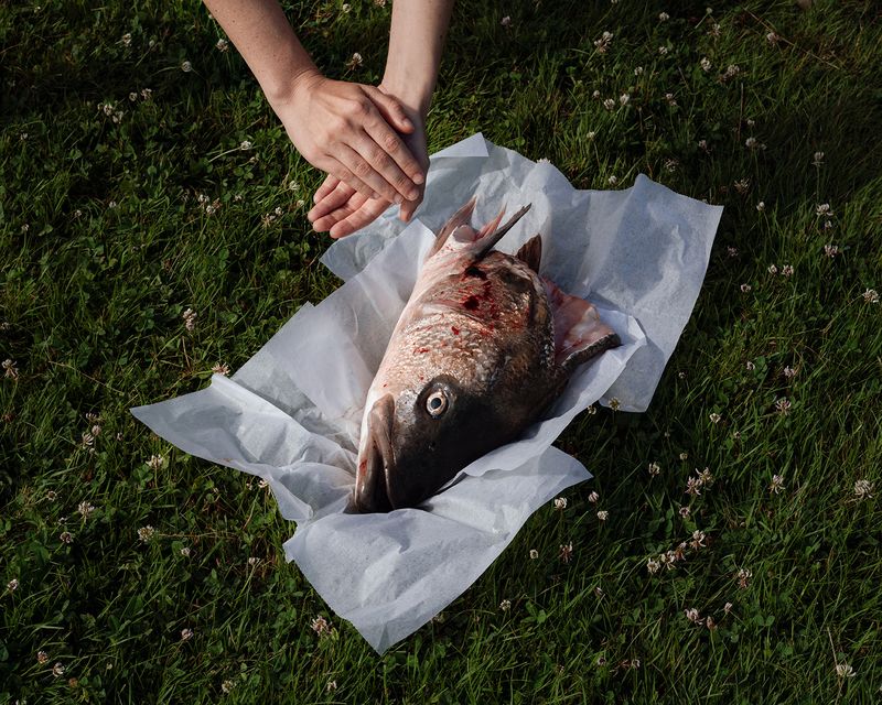 © Hannah Altman - Its Tale in its Mouth (Clapping)