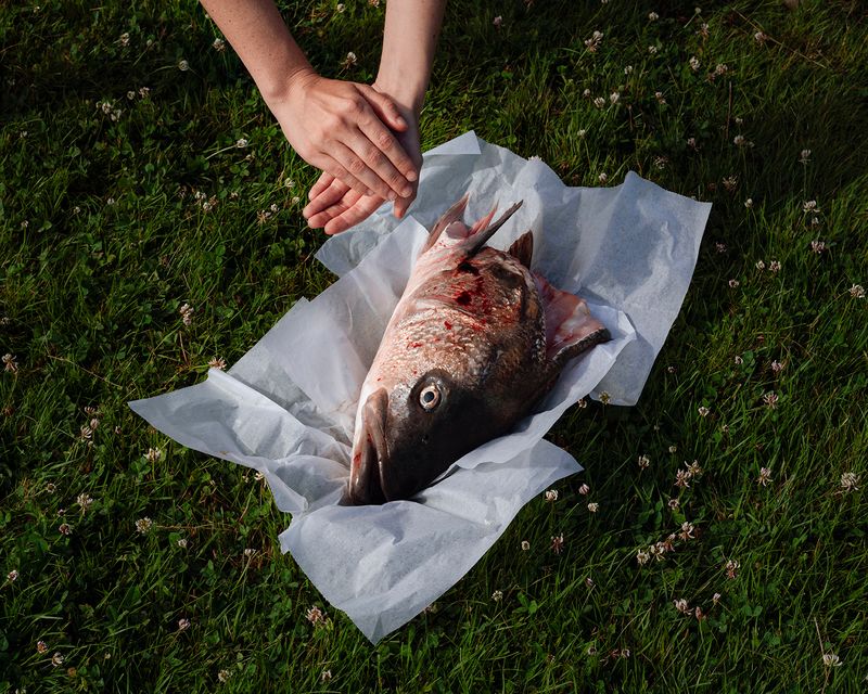 © Hannah Altman - Its Tale in its Mouth (Clapping)