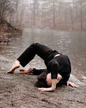 We Will Return to You