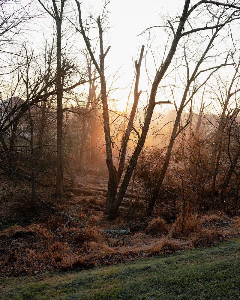 © Hannah Altman - Sunrise in New Jersey