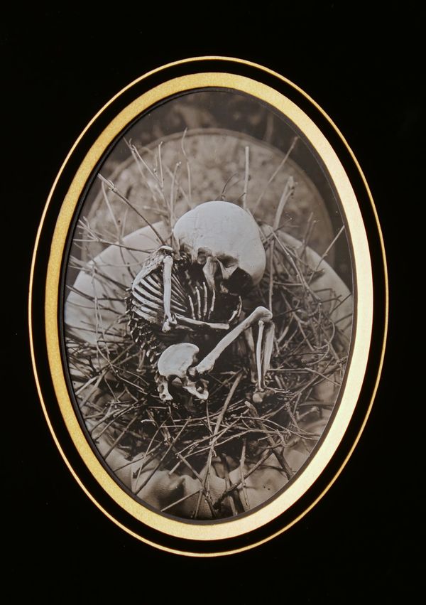 Image from a project on PhMuseum