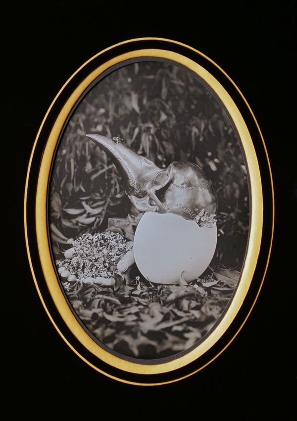 Image from a project on PhMuseum