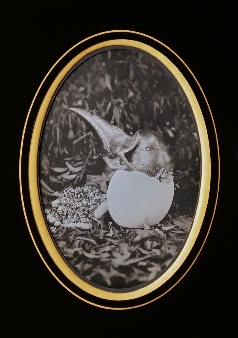 Image from a project on PhMuseum