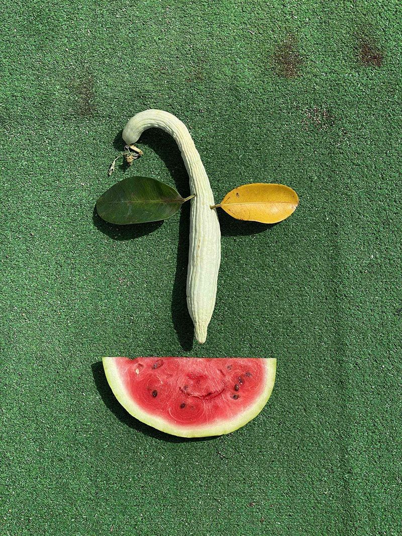 © Nikita Lukyanov - a face with a vegetables and fruits on the beach