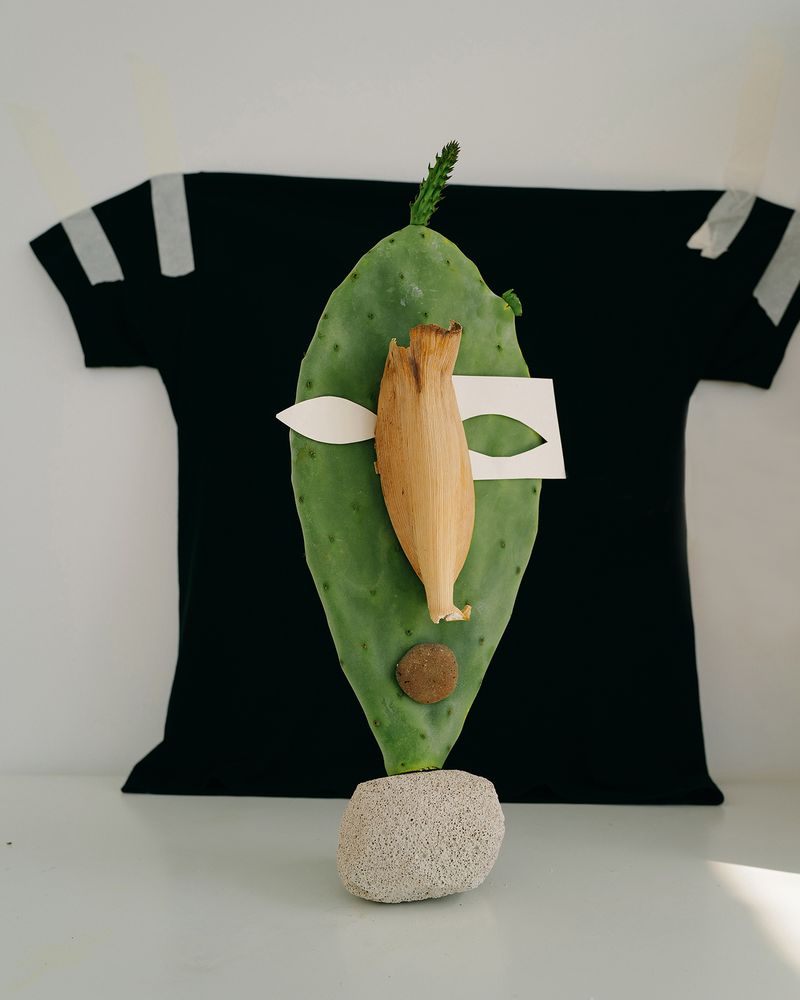 © Nikita Lukyanov - a cactus mask