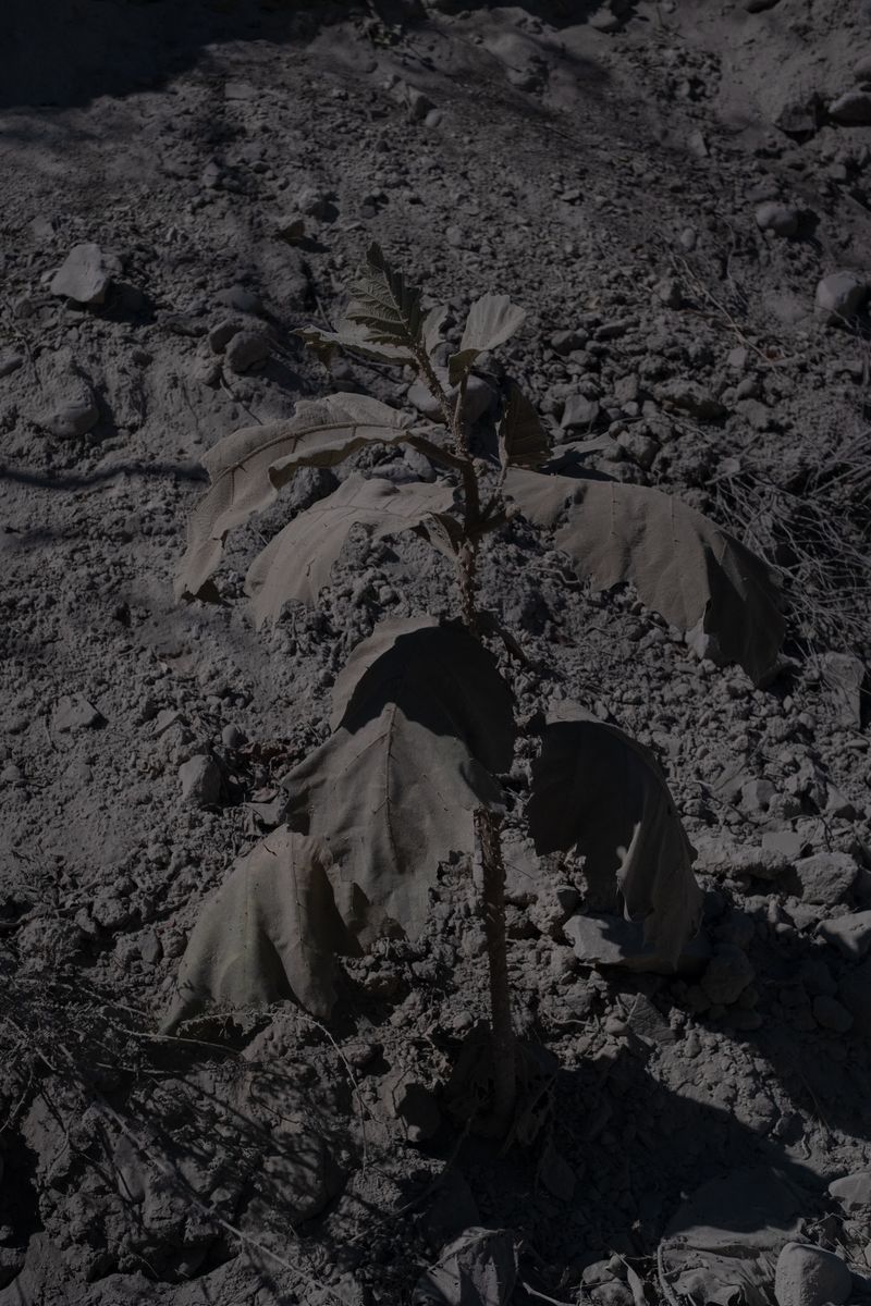 © Frédérique Gélinas - Image from the Ceci, te vas a ir? photography project