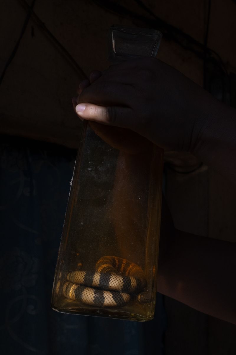 © Frédérique Gélinas - Image from the El tiempo del maguey photography project