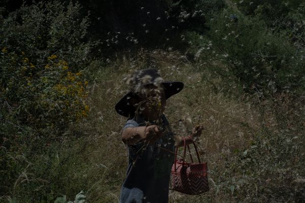 © Frédérique Gélinas - Image from the El tiempo del maguey photography project