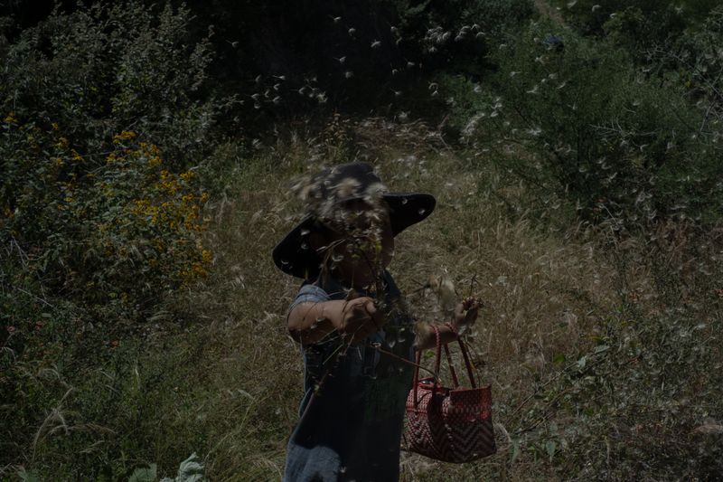 © Frédérique Gélinas - Image from the El tiempo del maguey photography project