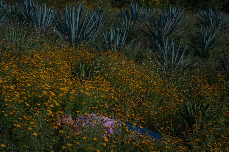 © Frédérique Gélinas - Image from the El tiempo del maguey photography project