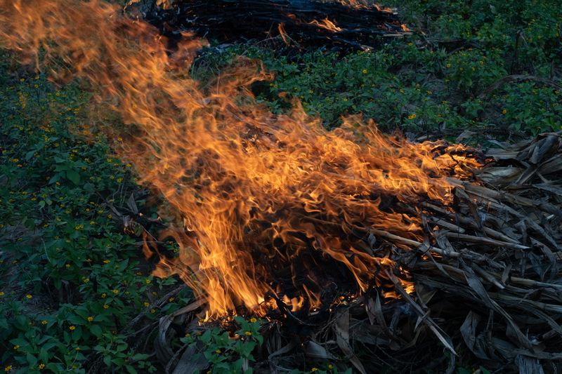 © Frédérique Gélinas - Maíz burning.