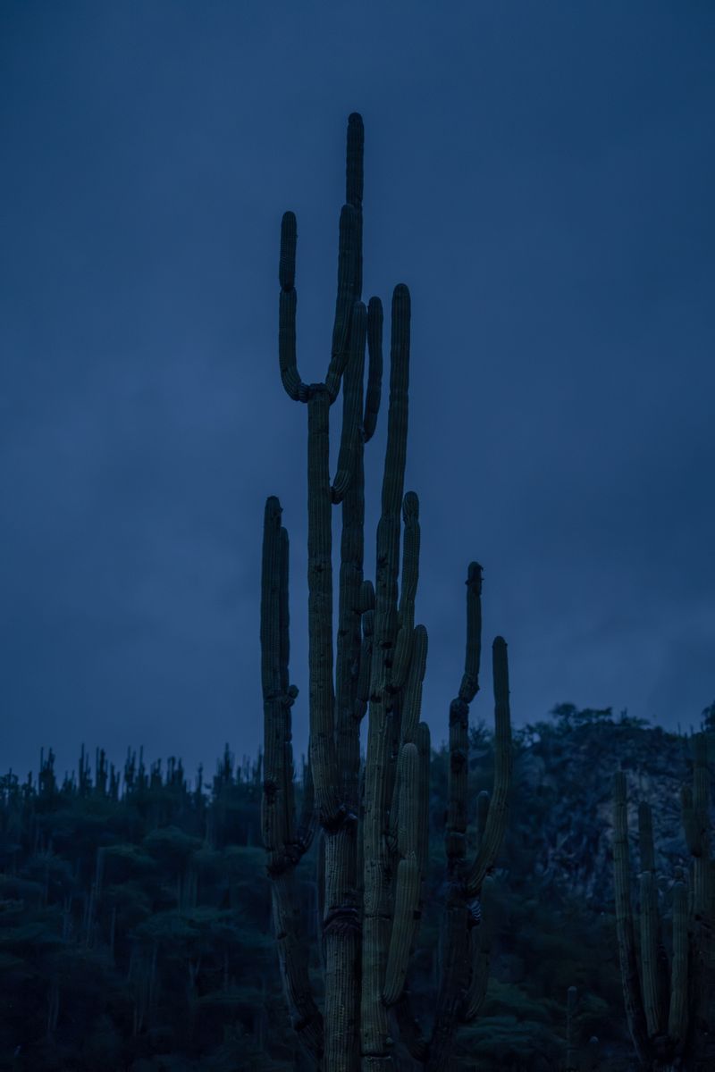 © Frédérique Gélinas - The road to Yegolé.