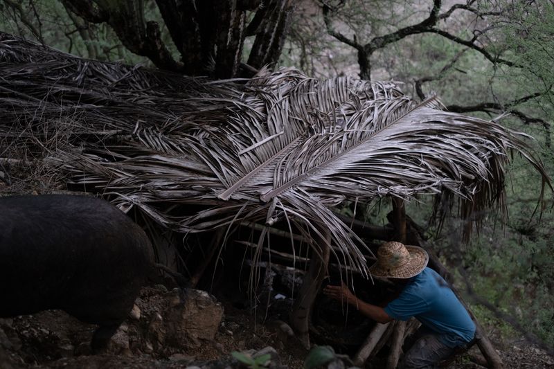© Frédérique Gélinas - In the garden.