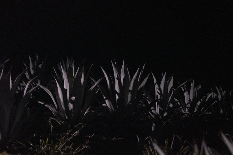 © Frédérique Gélinas - Image from the Allí en Yegolé photography project