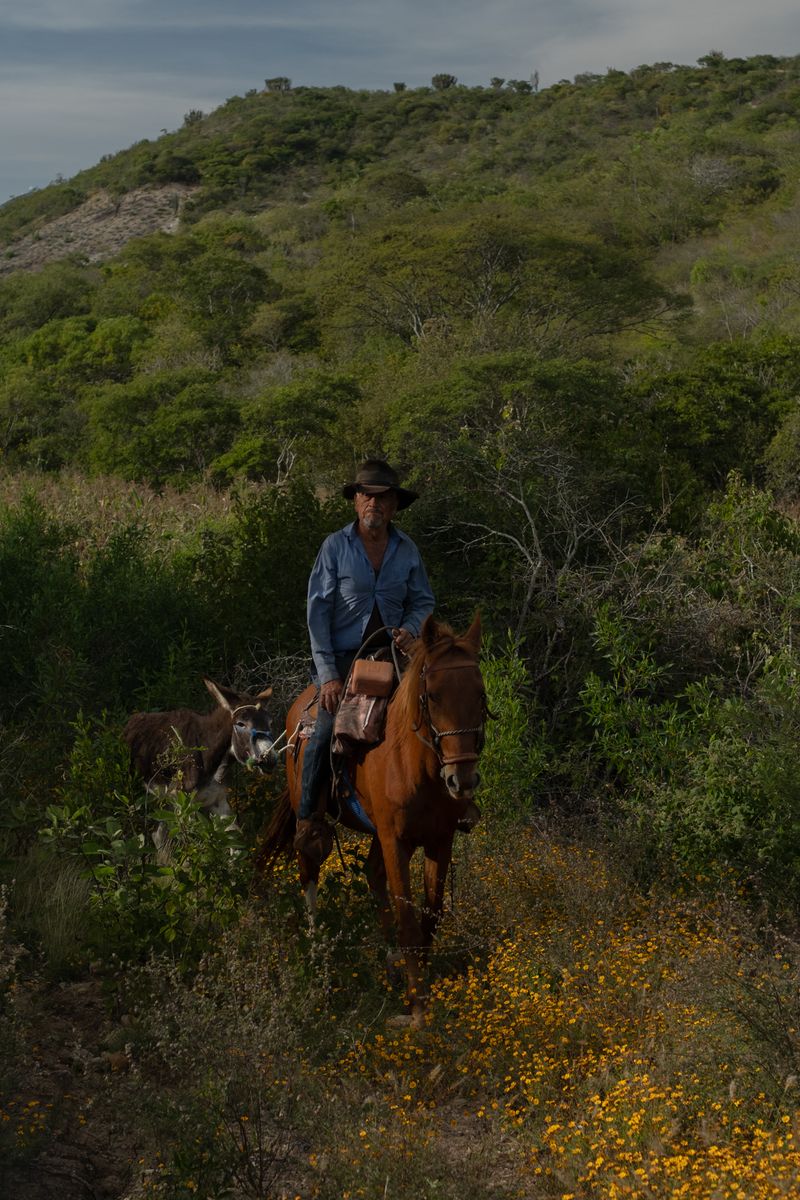 © Frédérique Gélinas - En la sierra.