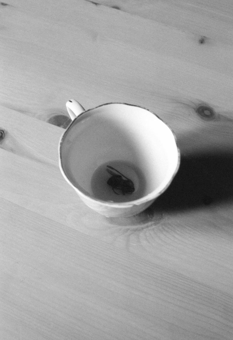 © Yorgos Kapsalakis - Image from the Death will come bearing your eyes photography project