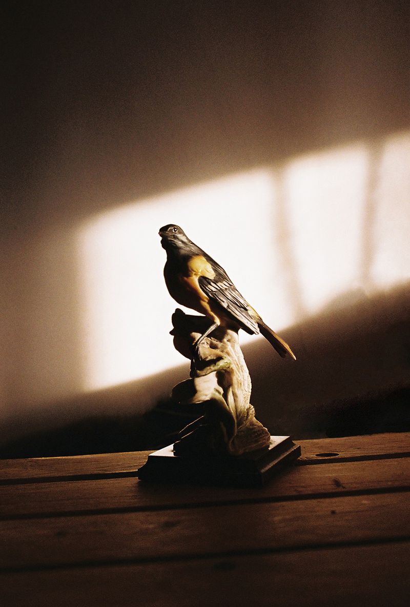 © Yorgos Kapsalakis - Image from the Death will come bearing your eyes photography project