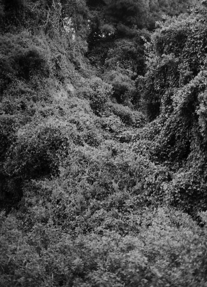 © Yorgos Kapsalakis - Image from the Death will come bearing your eyes photography project