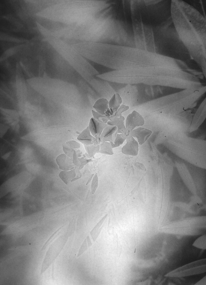 © Yorgos Kapsalakis - Image from the Death will come bearing your eyes photography project