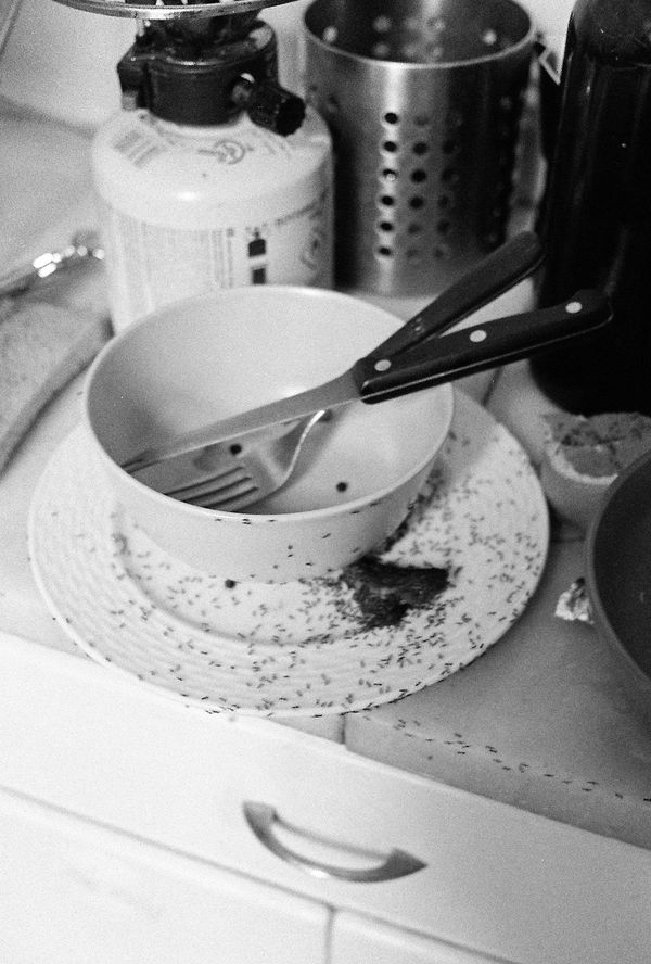 © Yorgos Kapsalakis - Image from the It is September and I am still alive photography project