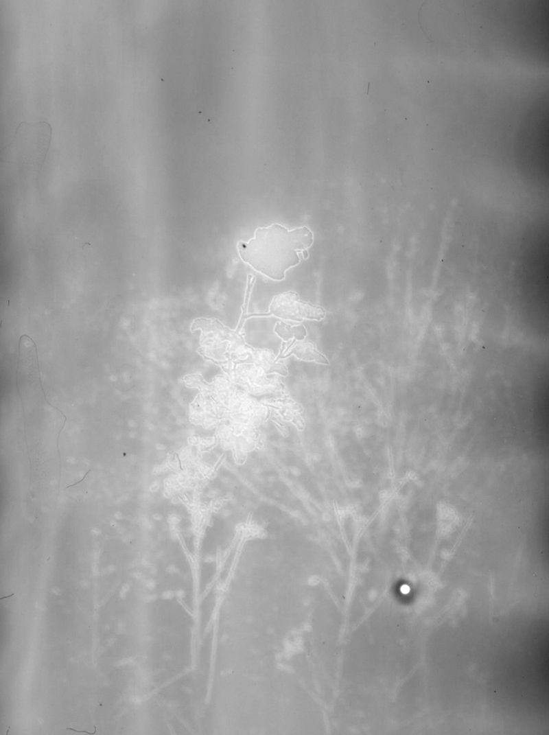 © Yorgos Kapsalakis - Image from the Verrà la morte e avrà i tuoi occhic photography project