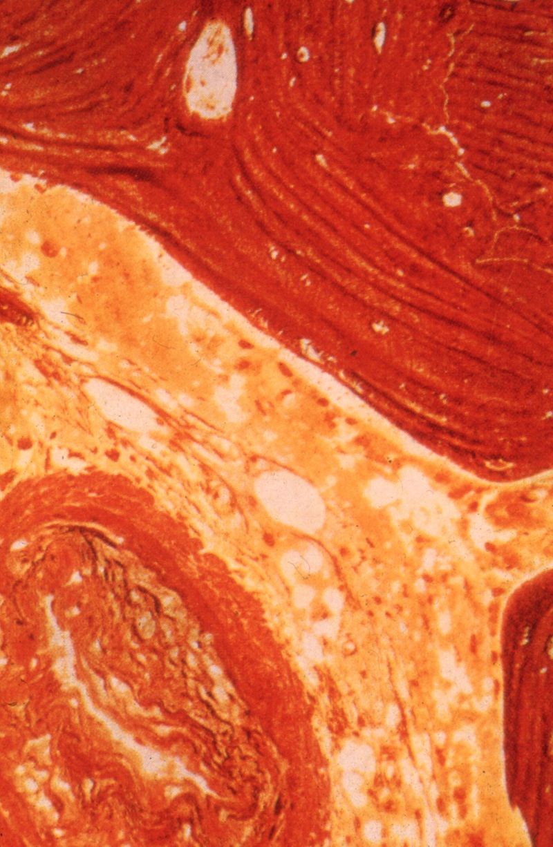 © Yorgos Kapsalakis - Image from the Verrà la morte e avrà i tuoi occhic photography project