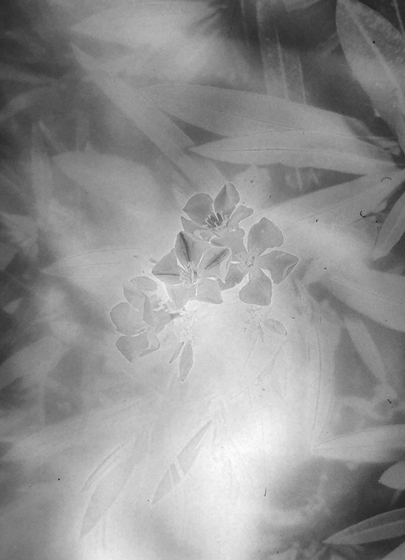 © Yorgos Kapsalakis - Image from the Verrà la morte e avrà i tuoi occhic photography project