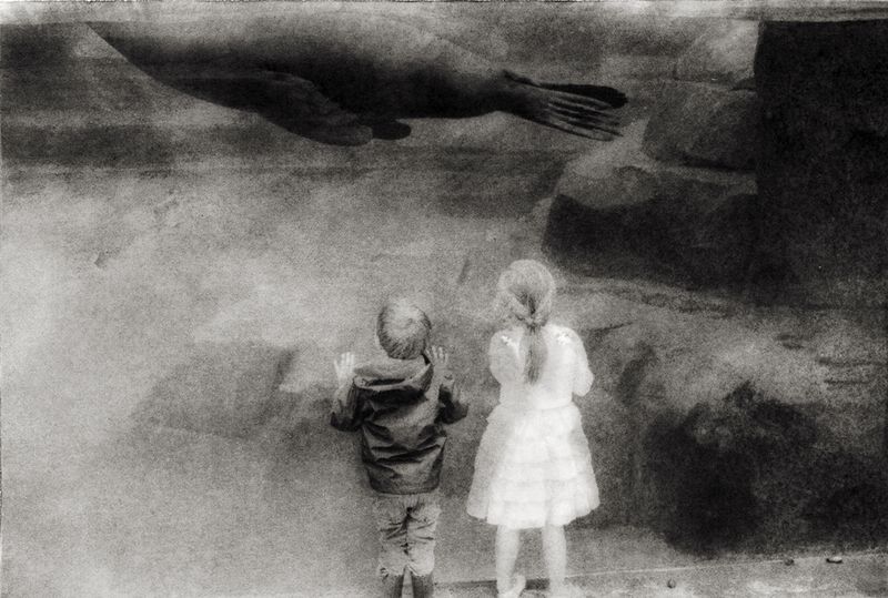 © Sophie Alyz - Image from the Giraffes have never really existed photography project