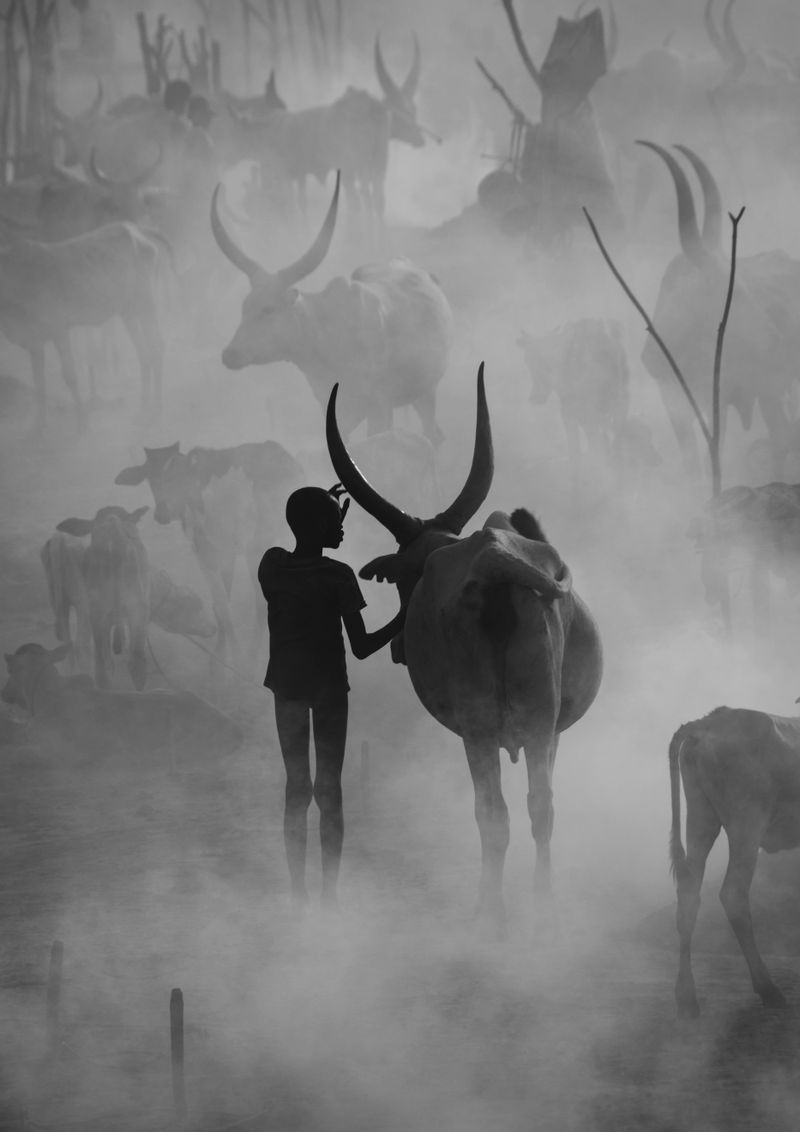 © Max Vere-Hodge, United Kingdom, Winner, Open Competition, Travel, Sony World Photography Awards 2023