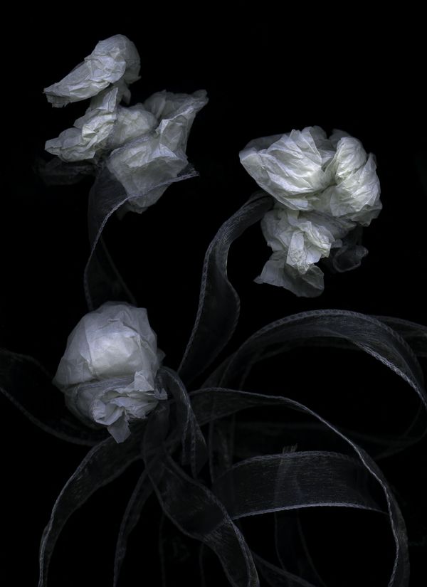 © Mieke Douglas, Netherlands, Winner, Open Competition, Object, Sony World Photography Awards 2023