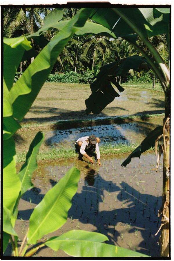 © Haniram - Image from the Tat tvam asi photography project