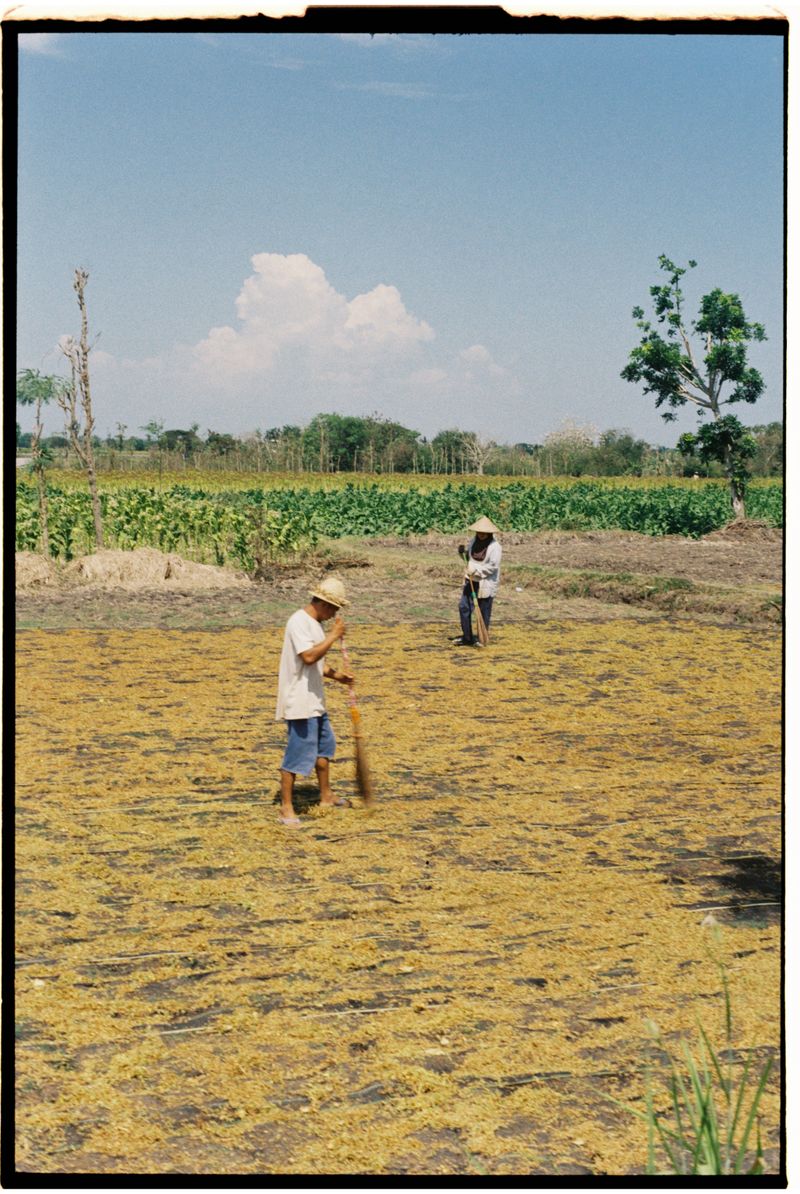 © Haniram - Image from the Tat tvam asi photography project