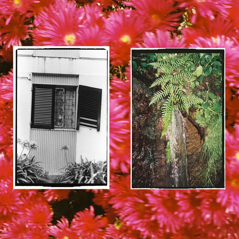 © Haniram - Image from the Lazy eye photography project