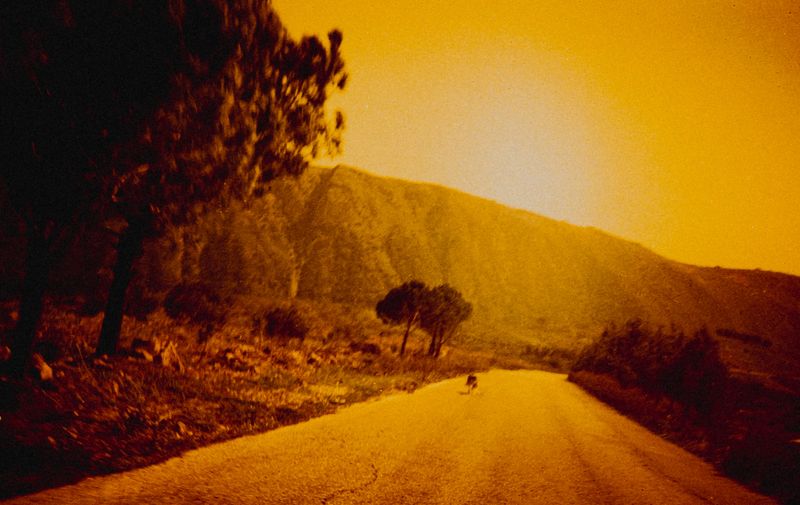 © Orianne Ciantar Olive - What will be left when we start again? Except a pile of ashes on which will rest a red rose.