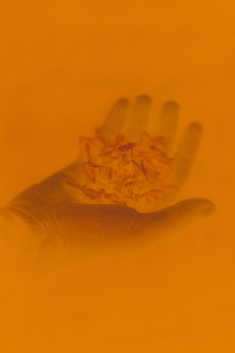 © Orianne Ciantar Olive - Image from the The Circular Ruins photography project