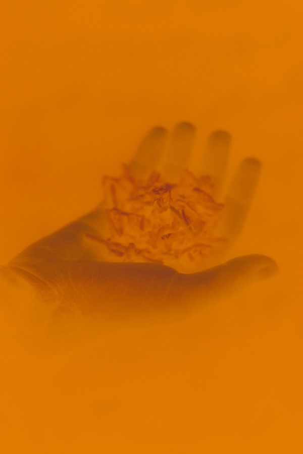 © Orianne Ciantar Olive - That fire in your hand.