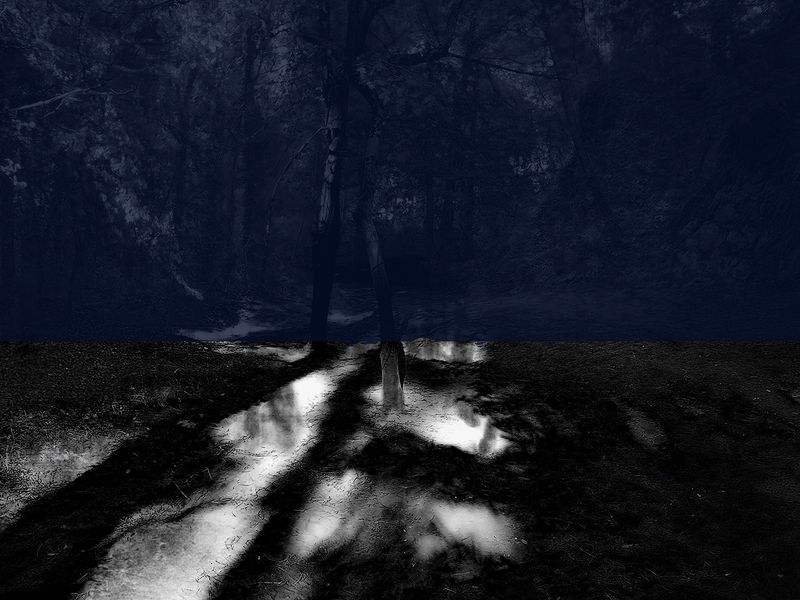 © Gaëlle Abravanel - Image from the Asking the Birds for Forgiveness (demander pardon aux oiseaux) photography project