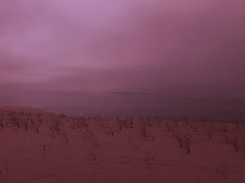 © Gaëlle Abravanel - Image from the Asking the Birds for Forgiveness (demander pardon aux oiseaux) photography project
