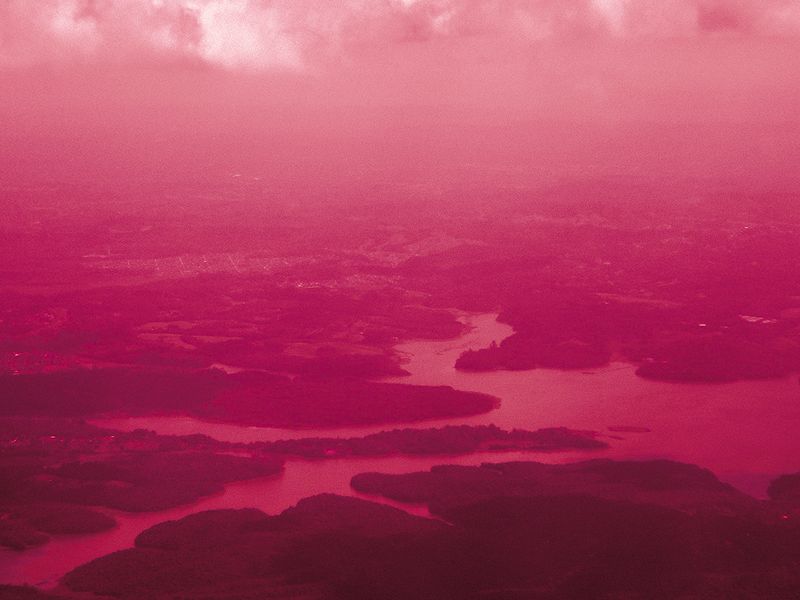 © Gaëlle Abravanel - Image from the Asking the Birds for Forgiveness (demander pardon aux oiseaux) photography project