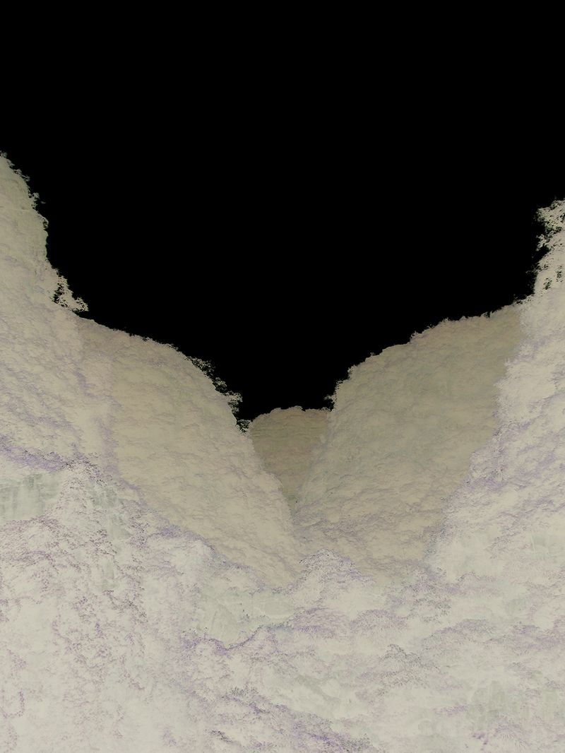 © Gaëlle Abravanel - Image from the Asking the Birds for Forgiveness (demander pardon aux oiseaux) photography project