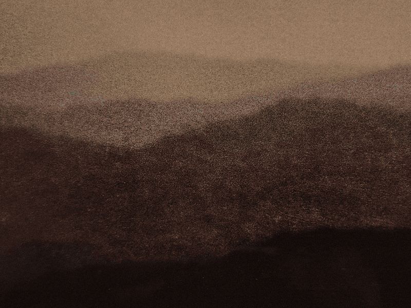 © Gaëlle Abravanel - Image from the Asking the Birds for Forgiveness (demander pardon aux oiseaux) photography project