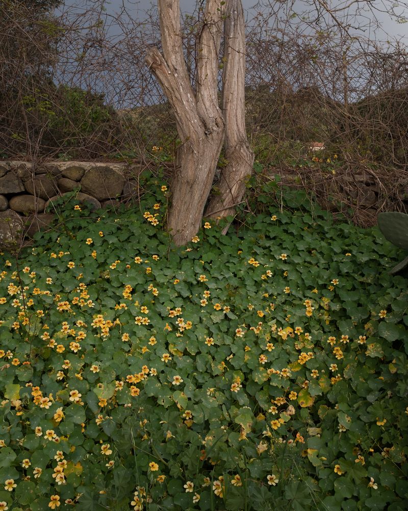 © Jacob Balzani Lööv - Image from the /ustica/ photography project