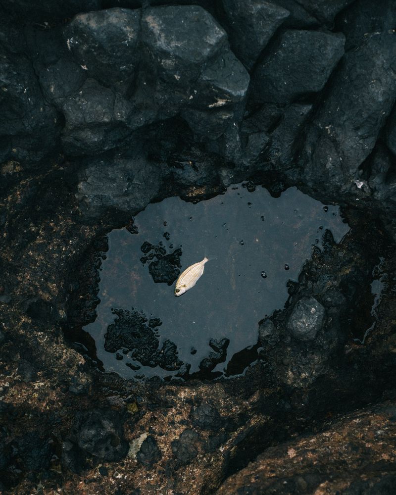 © Jacob Balzani Lööv - Image from the /ustica/ photography project